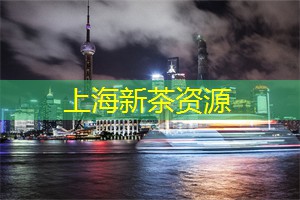 爱上海同城论坛：上海的极限运动与冒险活动
