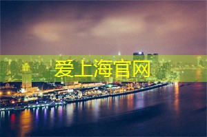 上海龙凤419：解析上海本地运动品牌的崛起